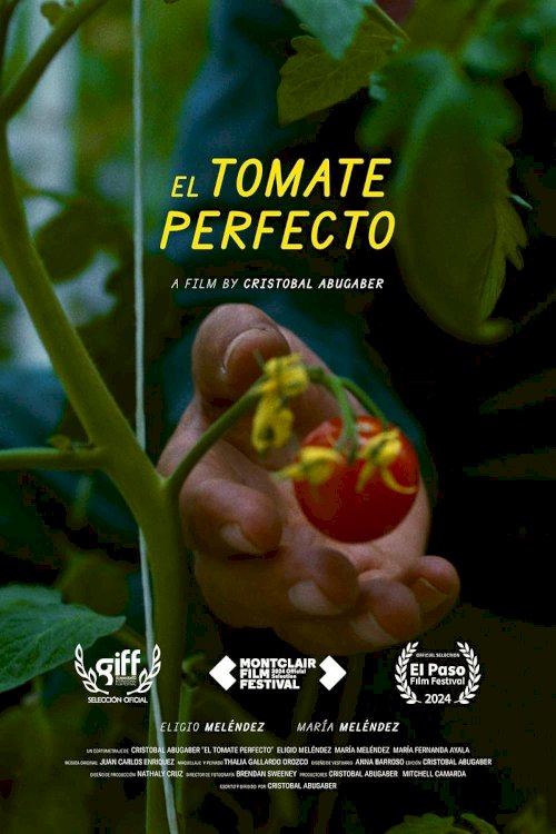 The Perfect Tomato - Movie Poster