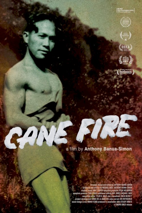 Cane Fire - Movie Poster Cane Fire - Movie Poster