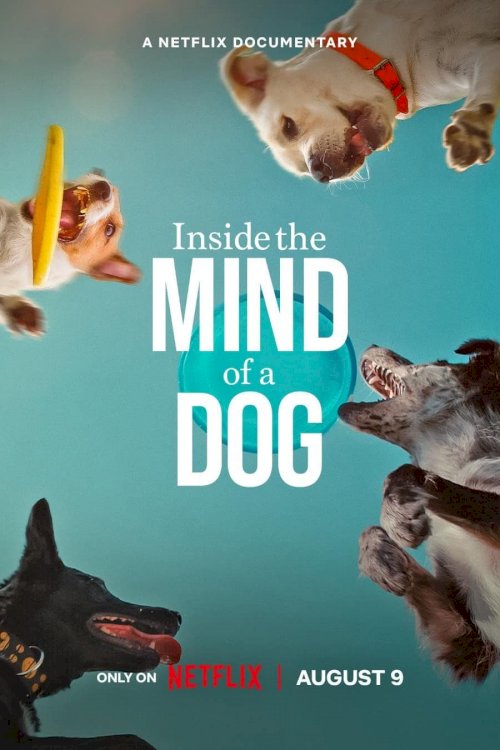 Inside the Mind of a Dog - Movie Poster Inside the Mind of a Dog - Movie Poster