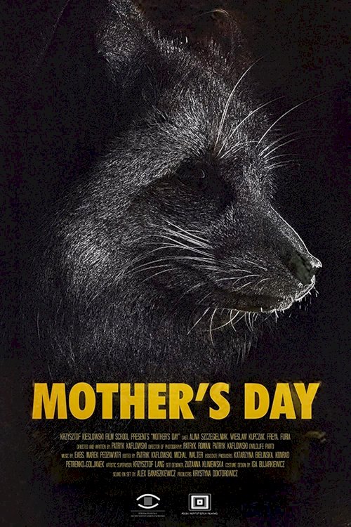 Mother's Day - Movie Poster