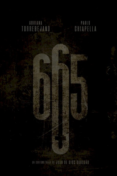 665 - Movie Poster 665 - Movie Poster