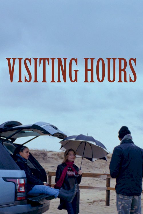 Visiting Hours - Movie Poster Visiting Hours - Movie Poster