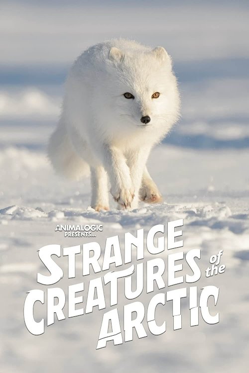 Strange Creatures of the Arctic - Movie Poster Strange Creatures of the Arctic - Movie Poster