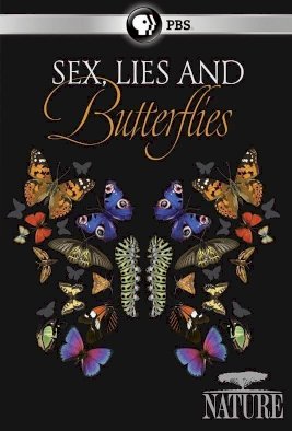 Sex, Lies and Butterflies - Movie Poster Sex, Lies and Butterflies - Movie Poster