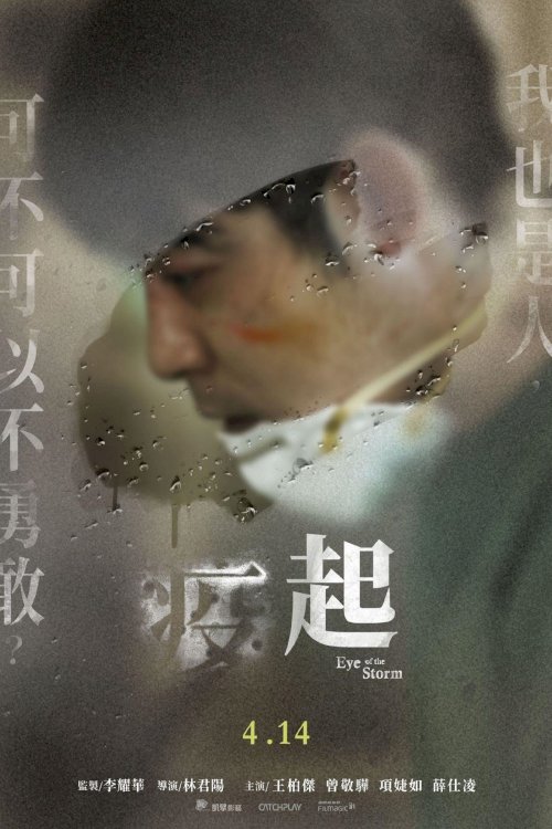 Eye of the Storm - Movie Poster Eye of the Storm - Movie Poster