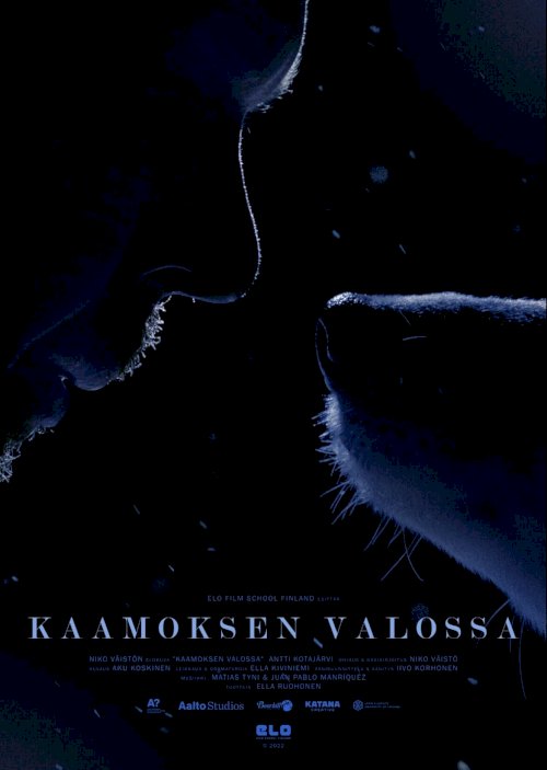 Polar Night Light - Movie Poster Polar Night Light - Movie Poster