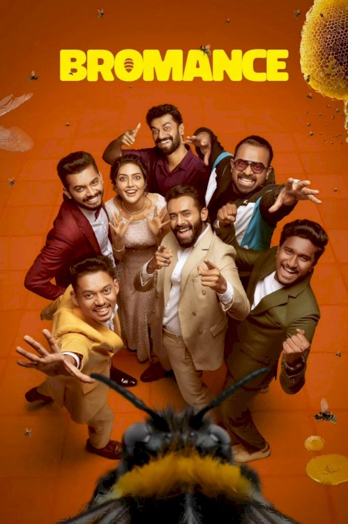 Bromance - Movie Poster