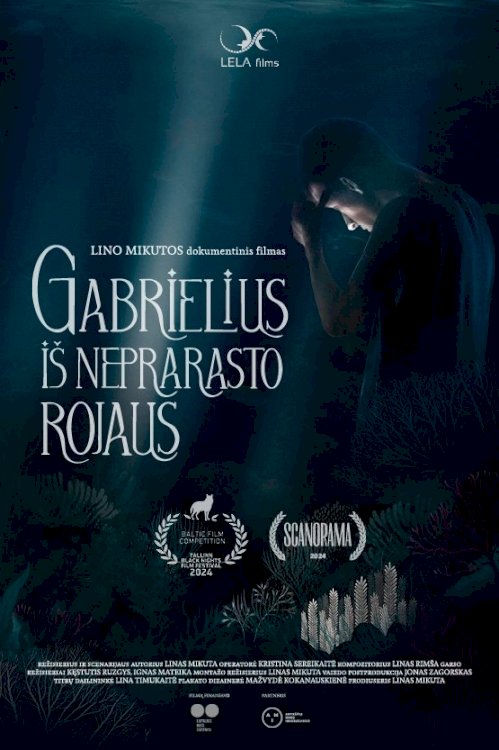 Paradise Not Lost - Movie Poster Paradise Not Lost - Movie Poster
