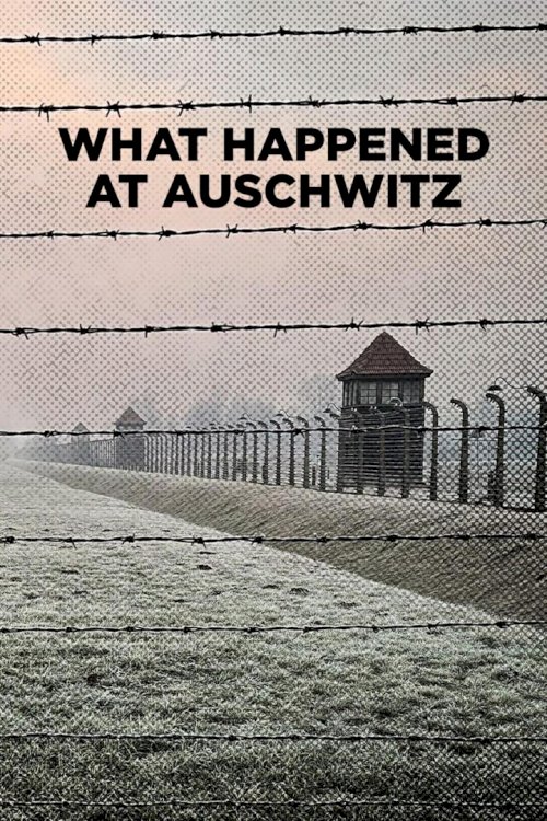 What Happened at Auschwitz - Movie Poster What Happened at Auschwitz - Movie Poster