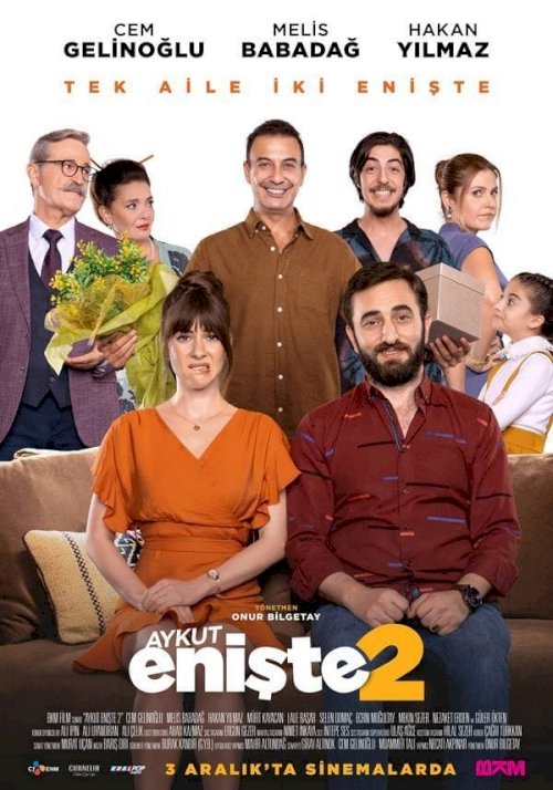 Aykut Enişte 2 - Movie Poster Aykut Enişte 2 - Movie Poster