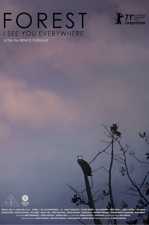 Forest: I See You Everywhere - Movie Poster Forest: I See You Everywhere - Movie Poster