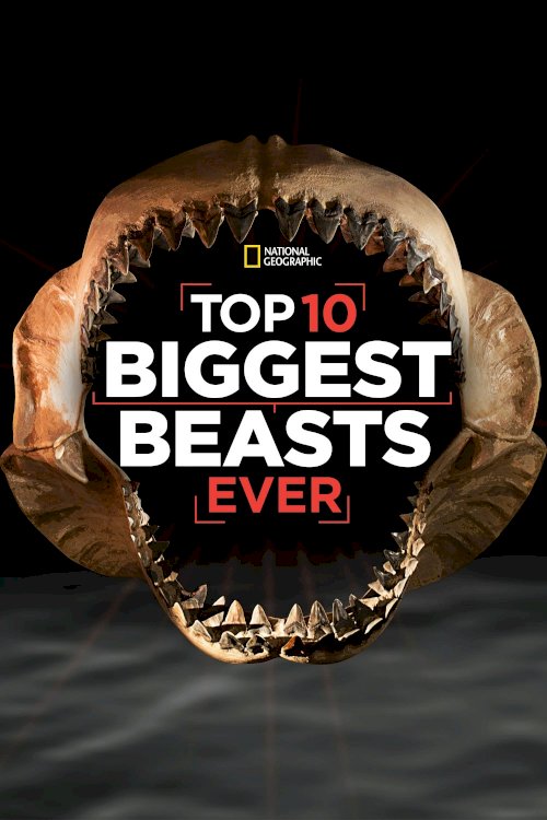 Top 10 Biggest Beasts Ever - Movie Poster Top 10 Biggest Beasts Ever - Movie Poster