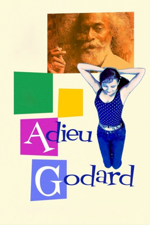 Adieu Godard - Movie Poster Adieu Godard - Movie Poster
