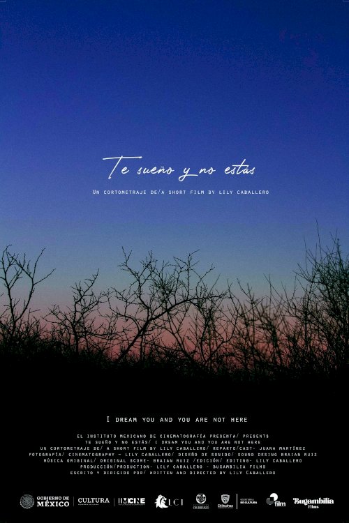 I dream you and you are not here - Movie Poster I dream you and you are not here - Movie Poster