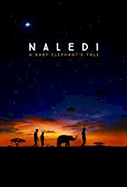 Naledi: A Baby Elephant's Tale - Movie Poster Naledi: A Baby Elephant's Tale - Movie Poster