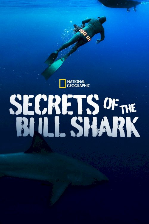 Secrets of the Bull Shark - Movie Poster Secrets of the Bull Shark - Movie Poster