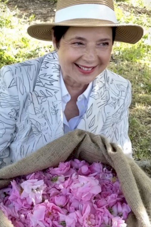 A Season with Isabella Rossellini - Movie Poster A Season with Isabella Rossellini - Movie Poster