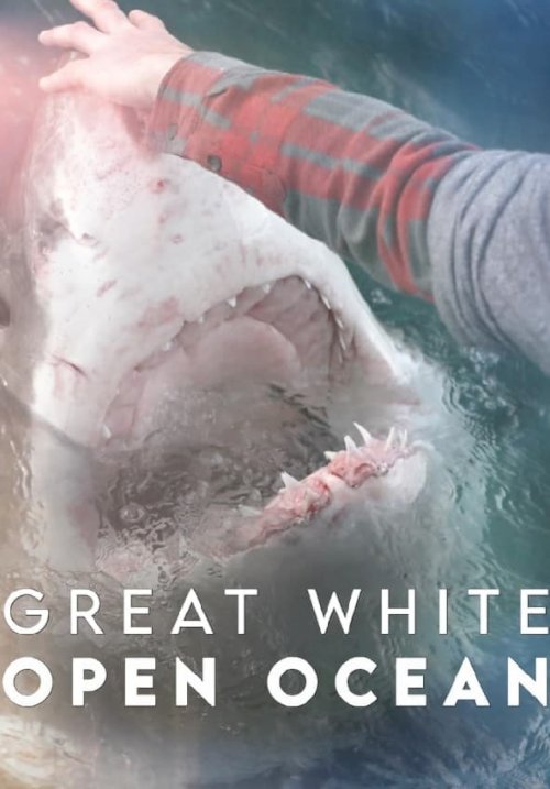 Great White Open Ocean - Movie Poster Great White Open Ocean - Movie Poster