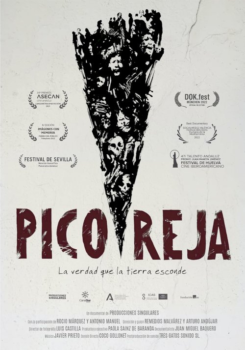 Pico Reja, la verdad que la tierra esconde - Movie Poster Pico Reja, la verdad que la tierra esconde - Movie Poster