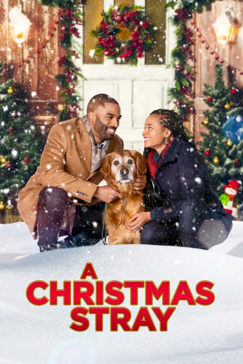 A Christmas Stray - Movie Poster A Christmas Stray - Movie Poster