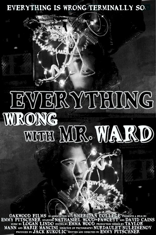 Everything Wrong with Mr. Ward - Movie Poster Everything Wrong with Mr. Ward - Movie Poster