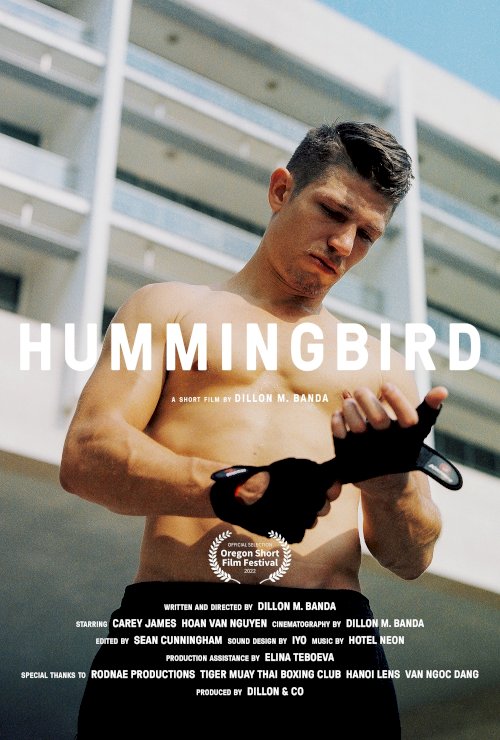 Hummingbird - Movie Poster