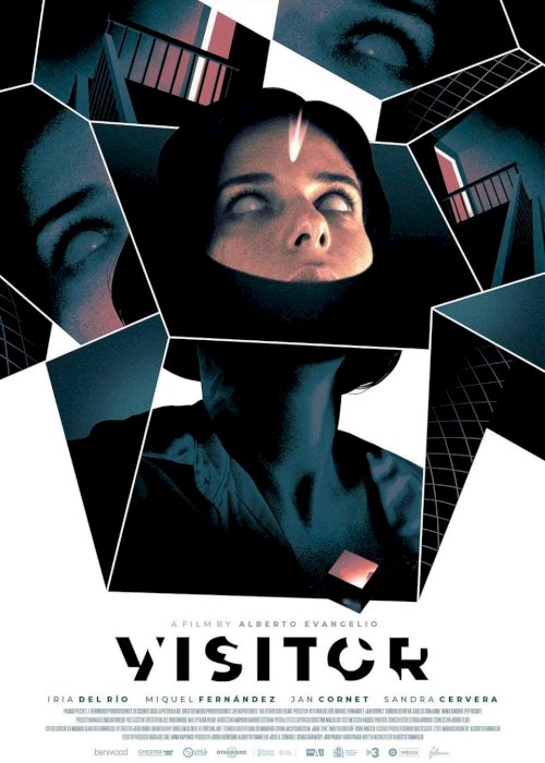 Visitor - Movie Poster Visitor - Movie Poster
