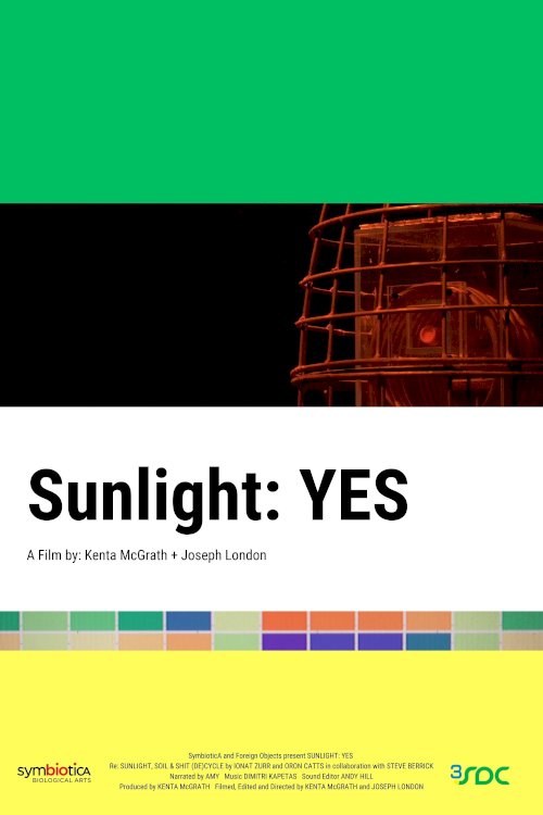 Sunlight: YES - Movie Poster Sunlight: YES - Movie Poster