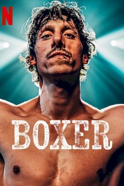 Boxer - Movie Poster Boxer - Movie Poster