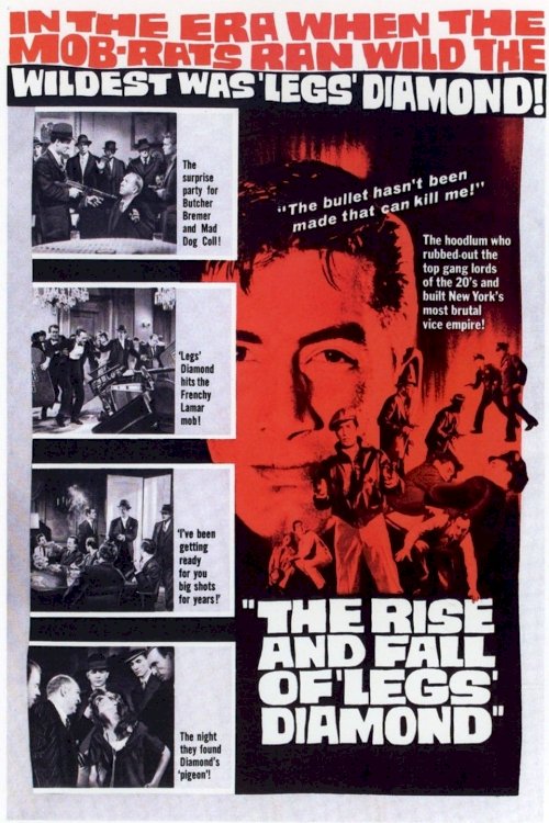 The Rise and Fall of Legs Diamond - Movie Poster