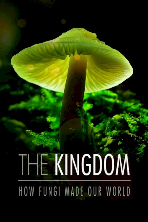 The Kingdom: How Fungi Made Our World - Movie Poster The Kingdom: How Fungi Made Our World - Movie Poster