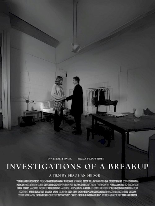 Investigations of a Breakup - Movie Poster Investigations of a Breakup - Movie Poster