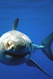 Great White Shark: Uncaged - Movie Poster Great White Shark: Uncaged - Movie Poster