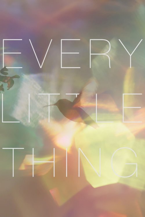 Every Little Thing - Movie Poster Every Little Thing - Movie Poster
