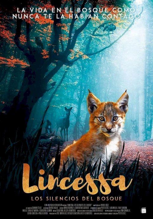 Lincessa. Los silencios del bosque - Movie Poster