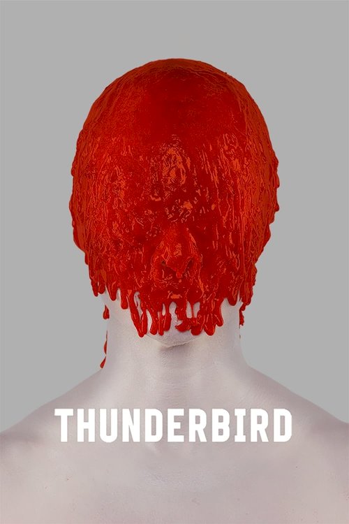 Thunderbird - Movie Poster