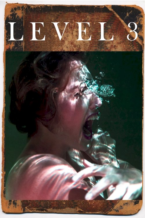 Level 3 - Movie Poster Level 3 - Movie Poster