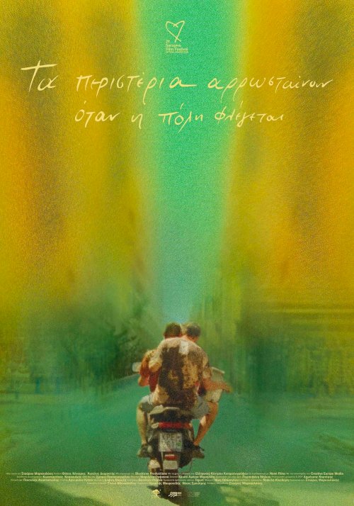 Pigeons Are Dying, When the City Is on Fire - Movie Poster Pigeons Are Dying, When the City Is on Fire - Movie Poster