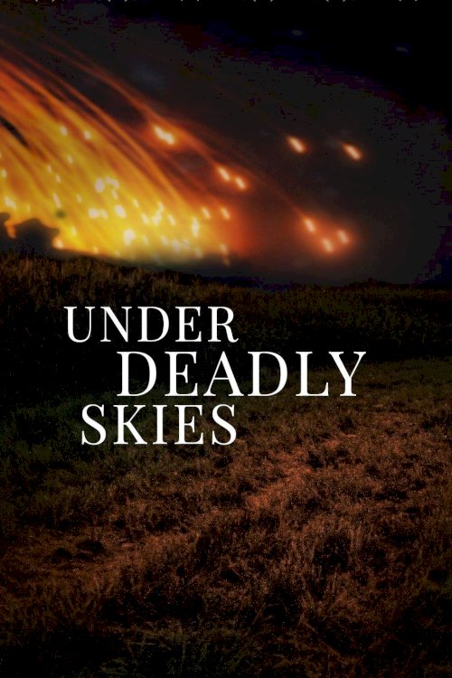 Under Deadly Skies: Ukraine's Eastern Front - Movie Poster