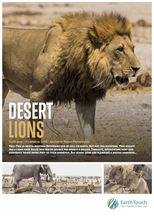 Desert Lions - Movie Poster Desert Lions - Movie Poster