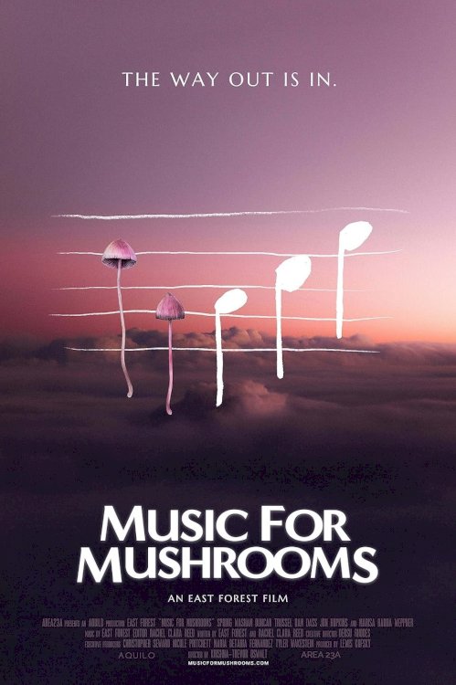 Music for Mushrooms - Movie Poster Music for Mushrooms - Movie Poster