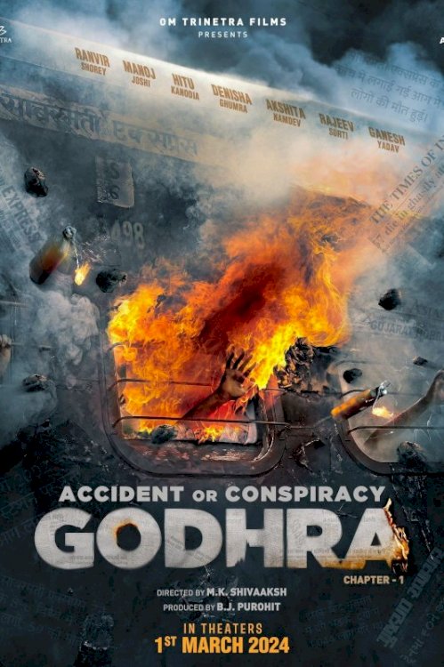 Accident or Conspiracy: Godhra - Movie Poster Accident or Conspiracy: Godhra - Movie Poster