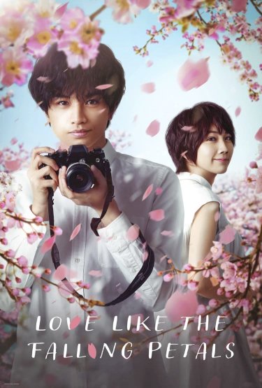 Love Like the Falling Petals - Movie Poster Love Like the Falling Petals - Movie Poster