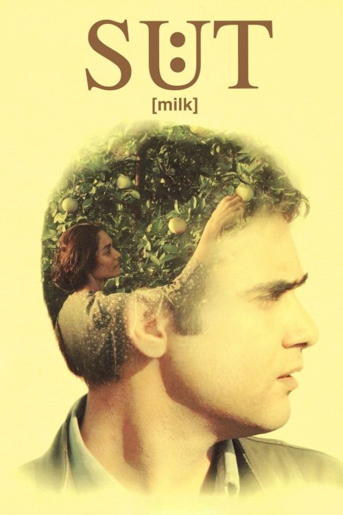 Milk - Movie Poster