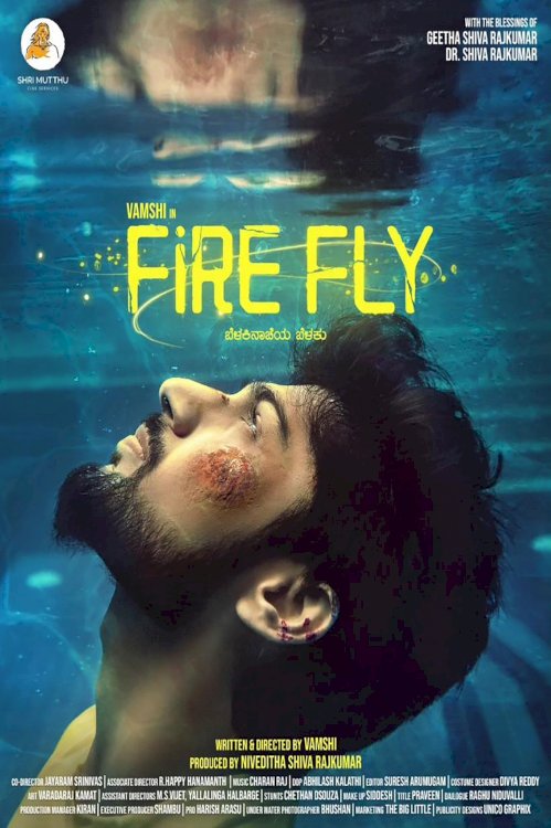 Firefly - Movie Poster