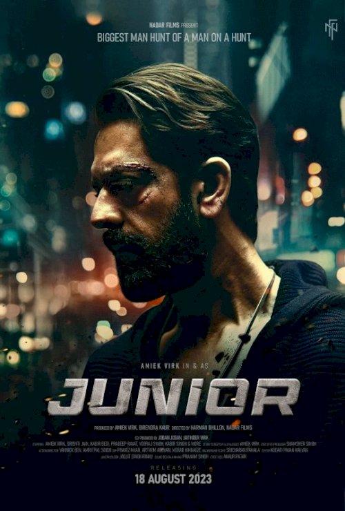 Junior - Movie Poster Junior - Movie Poster