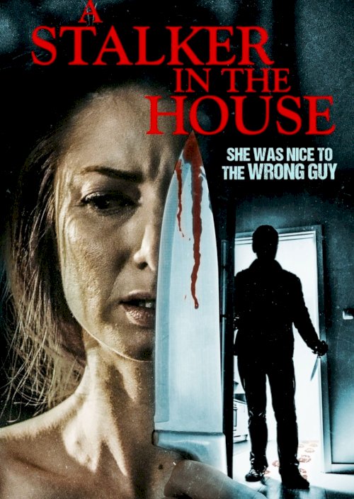 A Stalker in the House - Movie Poster A Stalker in the House - Movie Poster