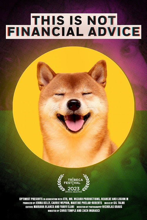 This Is Not Financial Advice - Movie Poster This Is Not Financial Advice - Movie Poster