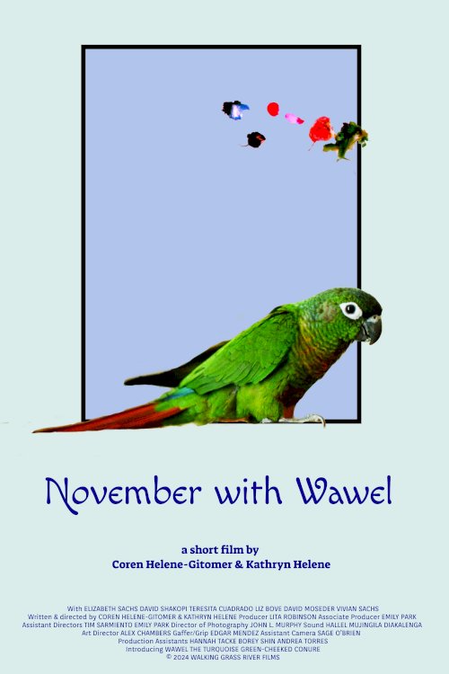 November with Wawel - Movie Poster November with Wawel - Movie Poster