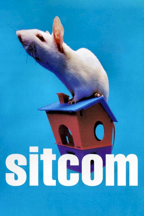 Sitcom - Movie Poster